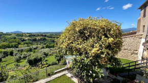 La Vista Otricoli